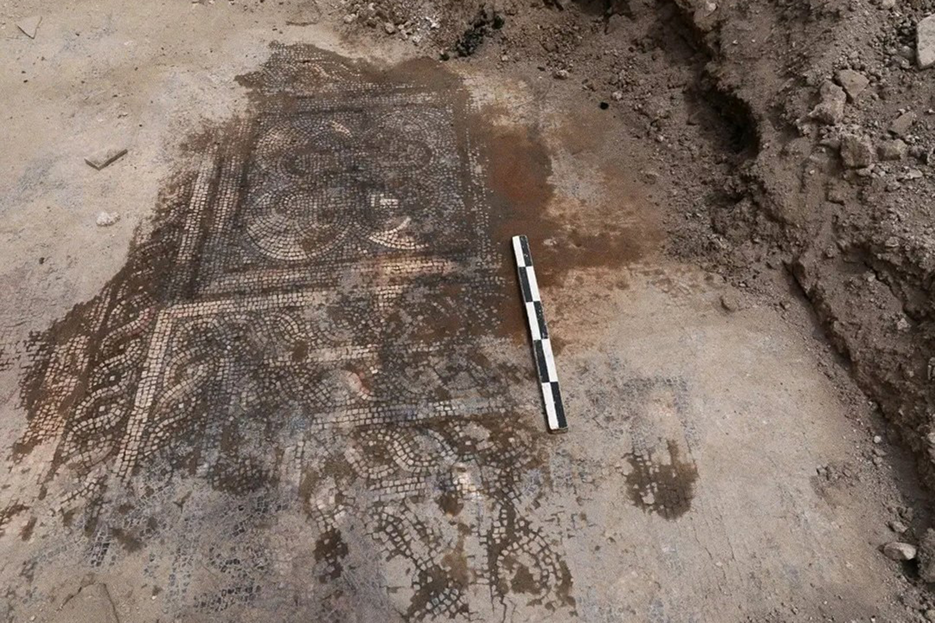 اكتشاف لوحة فسيفساء ضخمة شمال غربي دمشق أثناء أعمال زراعية