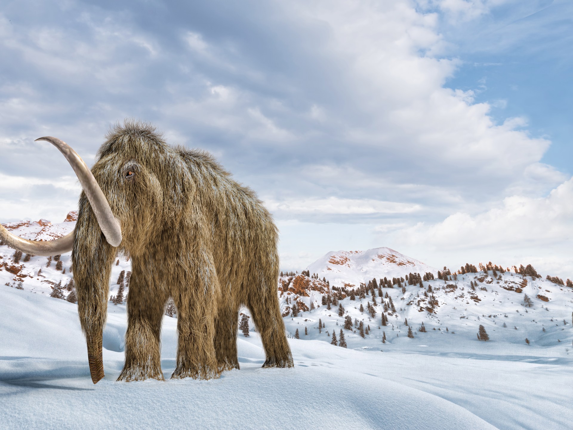 عمره 40 ألف سنة.. أقدم حمض نووي ريبوزي وجد بماموث صوفي
