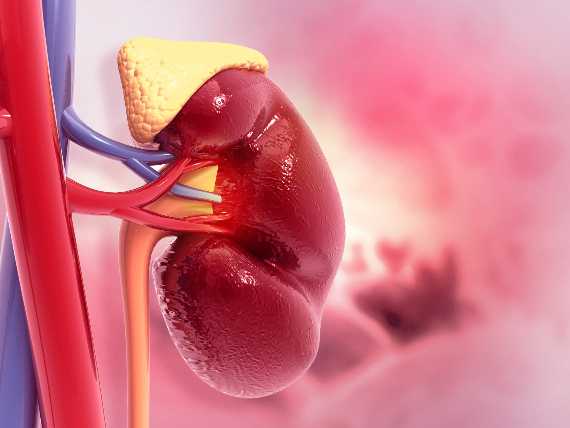 4 أمور انتبه لها للحفاظ على صحة المسالك البولية