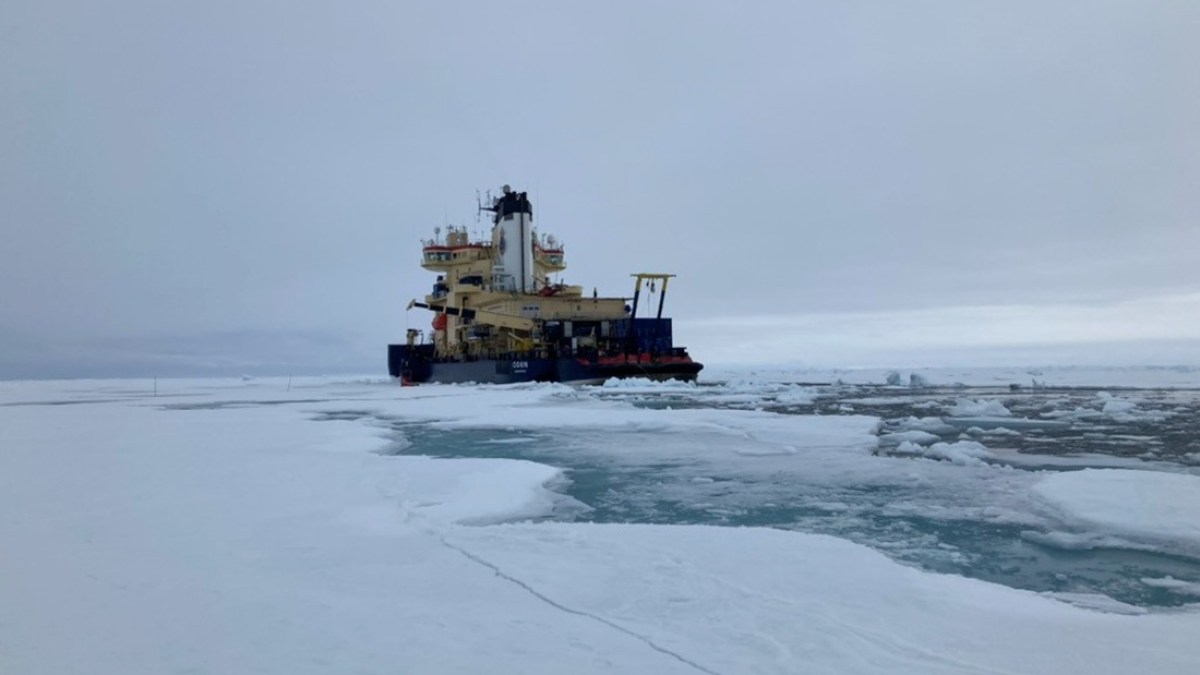 علماء يكتشفون "حياة غامضة" تحت جليد القطب الشمالي