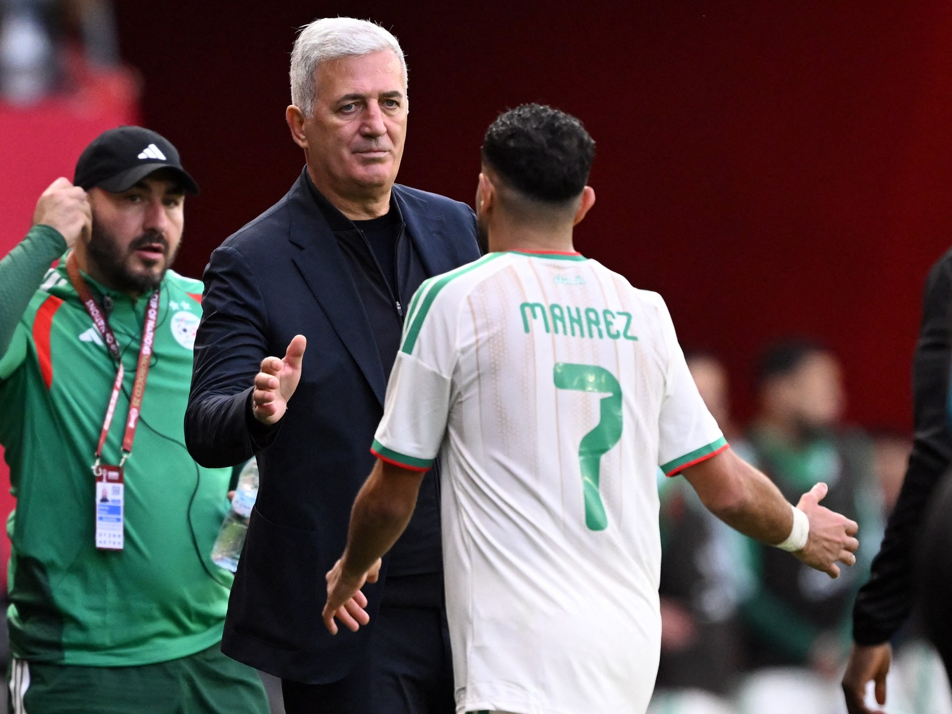 بيتكوفيتش يغير تشكيلة الجزائر ضد غينيا الاستوائية بكأس أفريقيا