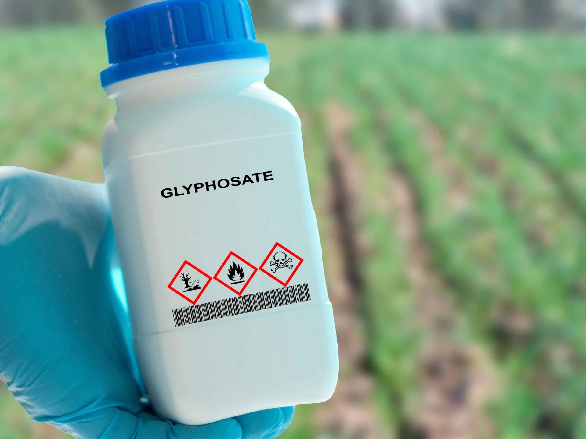 سحب دراسة طبية برأت المبيدات الحشرية من السرطان