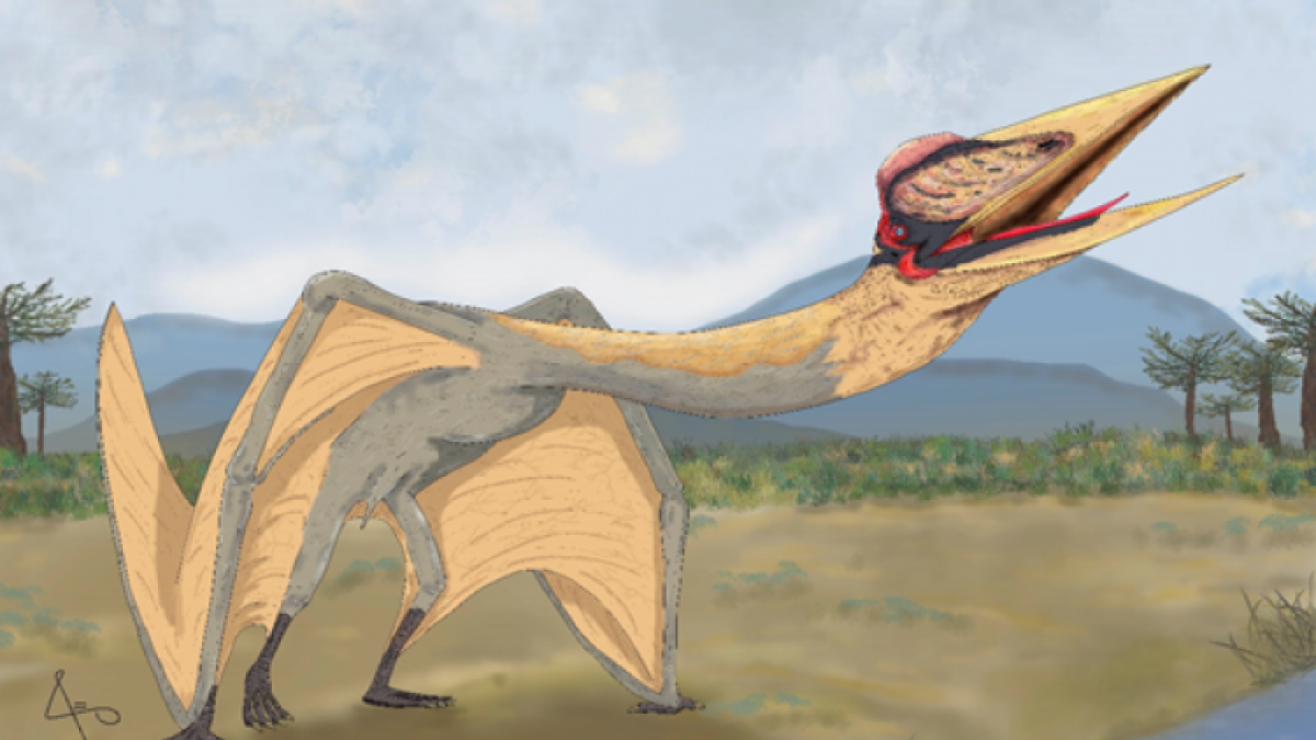 كيف تعلم أول طائر في التاريخ الطيران؟ أحافير تكشف سر التيروصورات