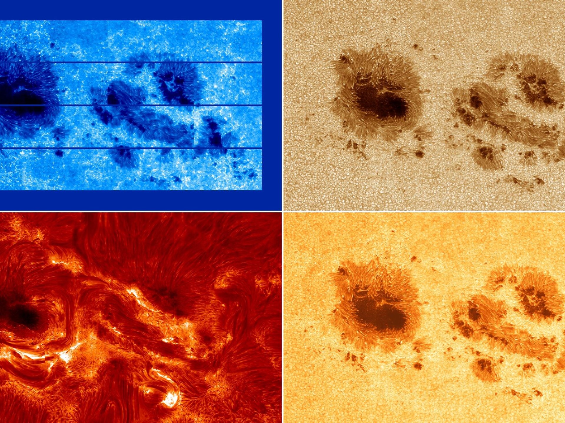 قبل العاصفة: رصد نادر للشرارة التي أشعلت توهجا شمسيا هائلا