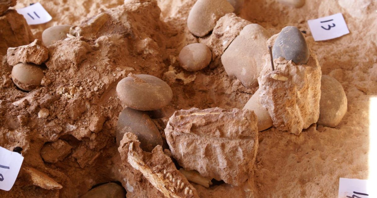 اكتشاف "بقايا بشرية" عمرها 773 ألف سنة في الدار البيضاء