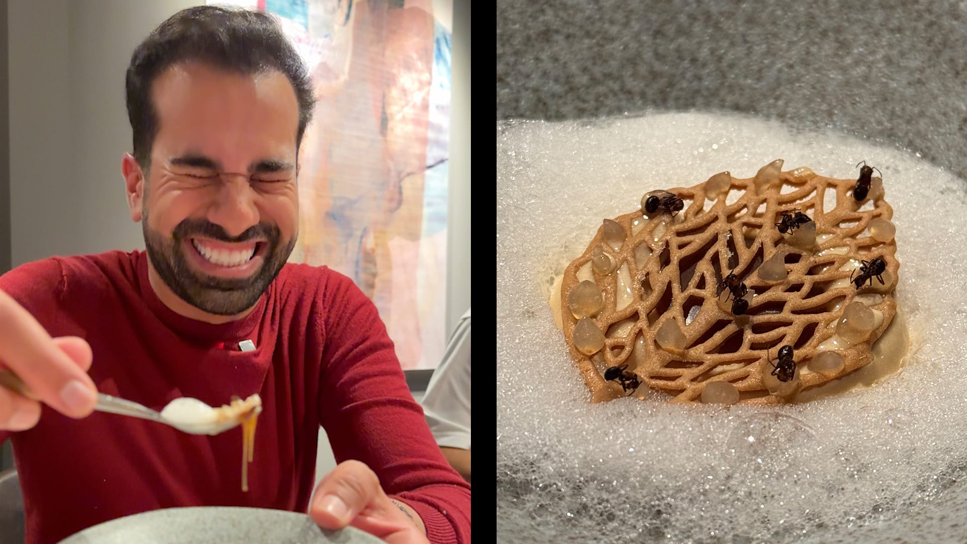 بوظة بالنمل.. رحّالة يخوض أغرب تجربة طعام في النرويج