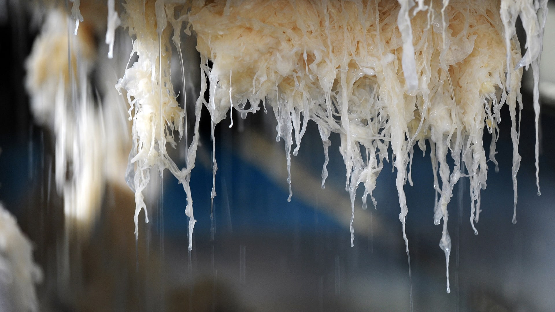 مخلّل الملفوف..لماذا يجب أن تُضيف هذا النوع من الطعام لنظامك الغذائي؟