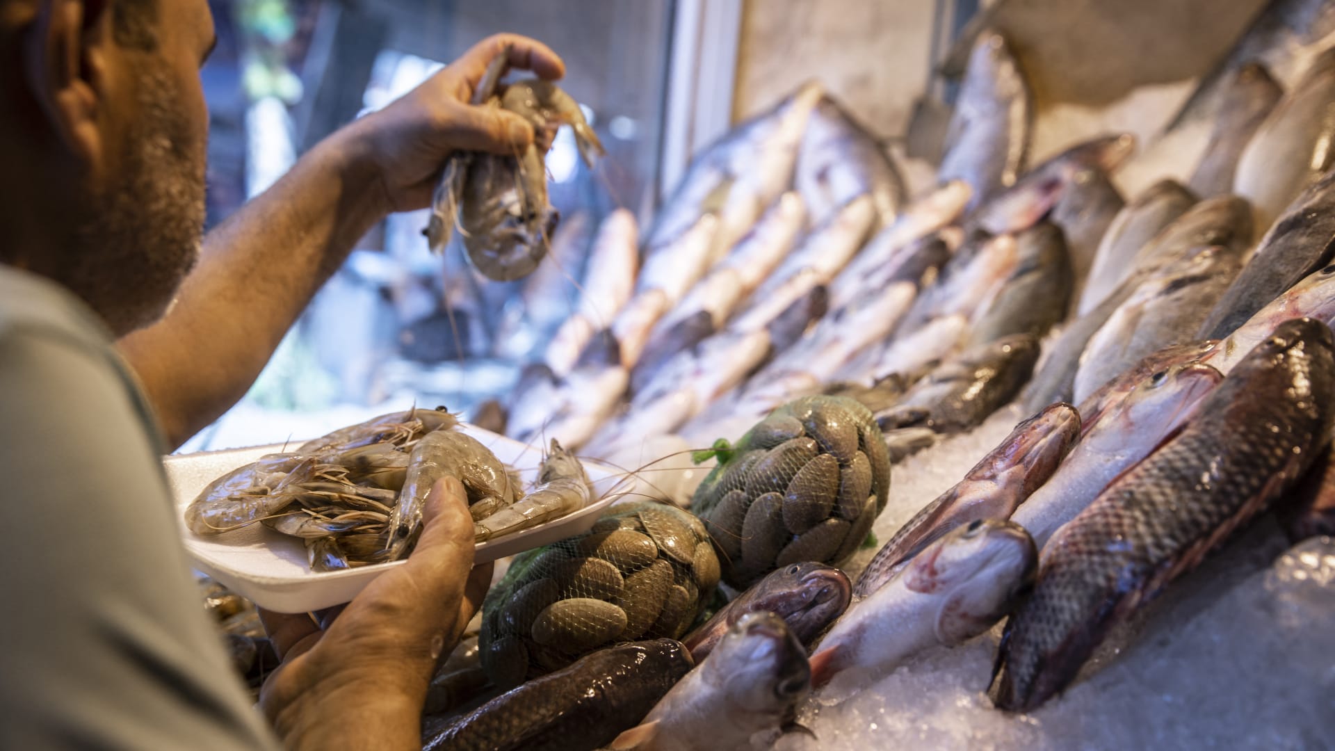 مصر.. ارتفاع أسعار الأسماك يثير تساؤلات حول "مكاسب" التجار و"فاعلية" الرقابة