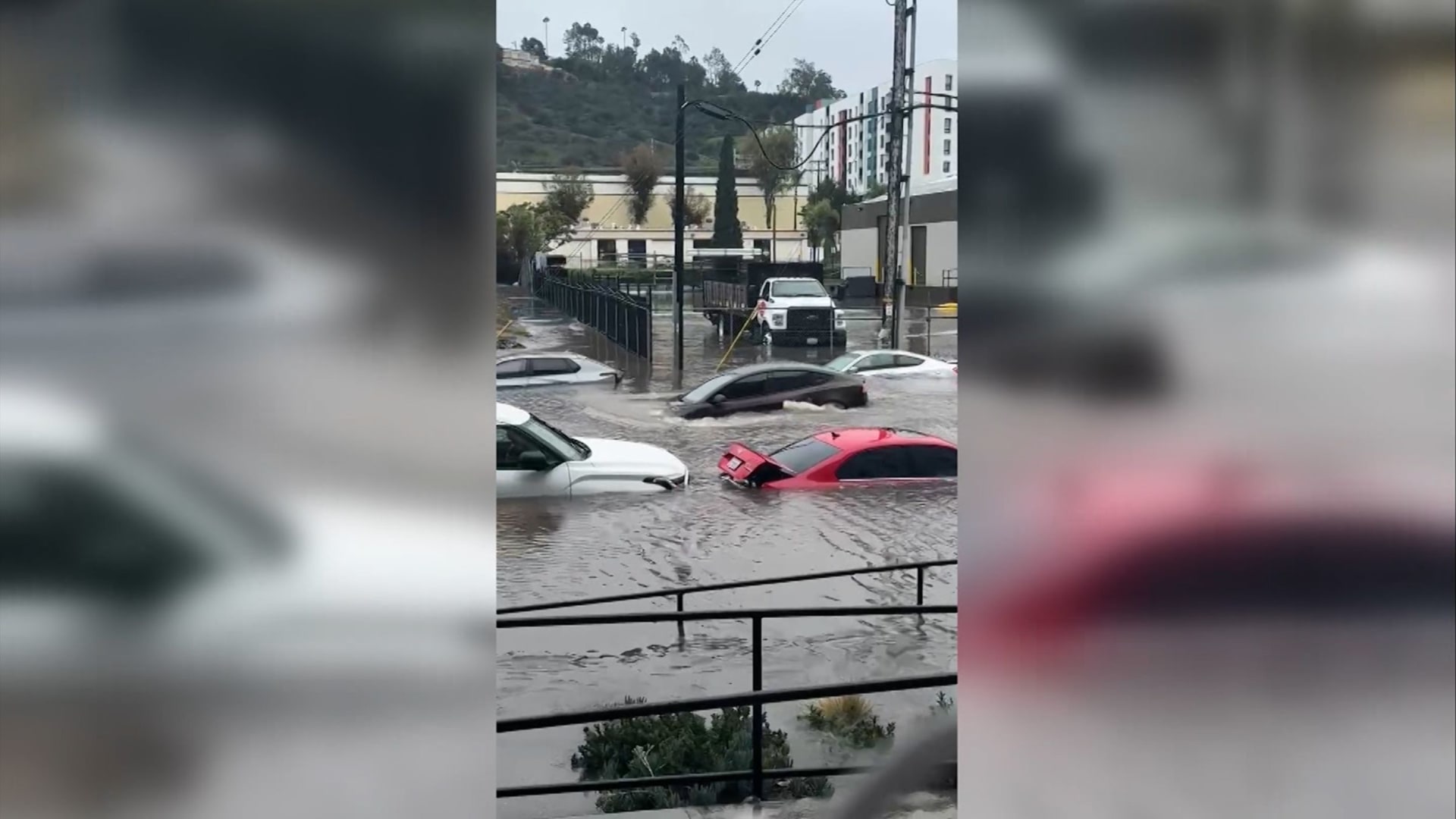 بسبب أمطار كثيفة.. فيضانات تغمر المركبات بشكل شبه تام في سان دييغو