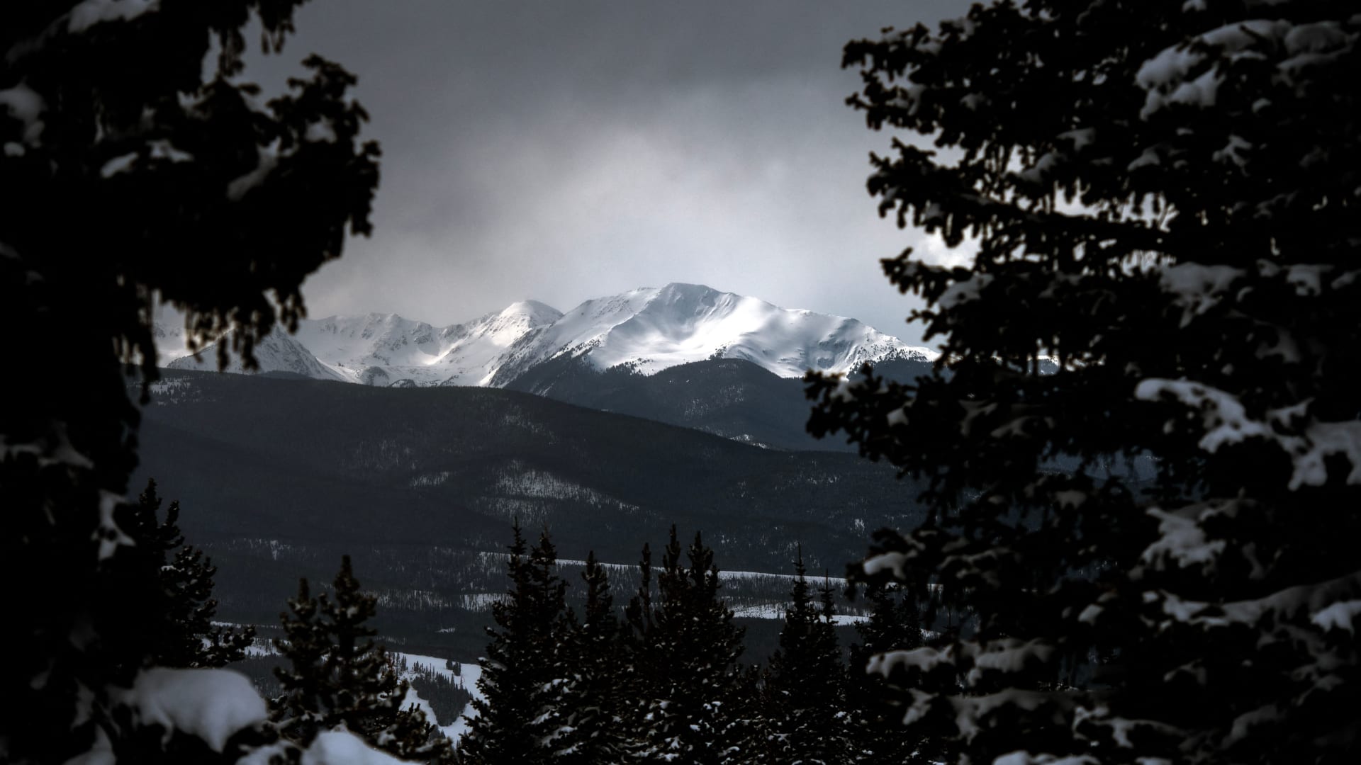 العثور على جثة امرأة مفتوك بها بجبال كولورادو والمشتبه به أسد جبلي