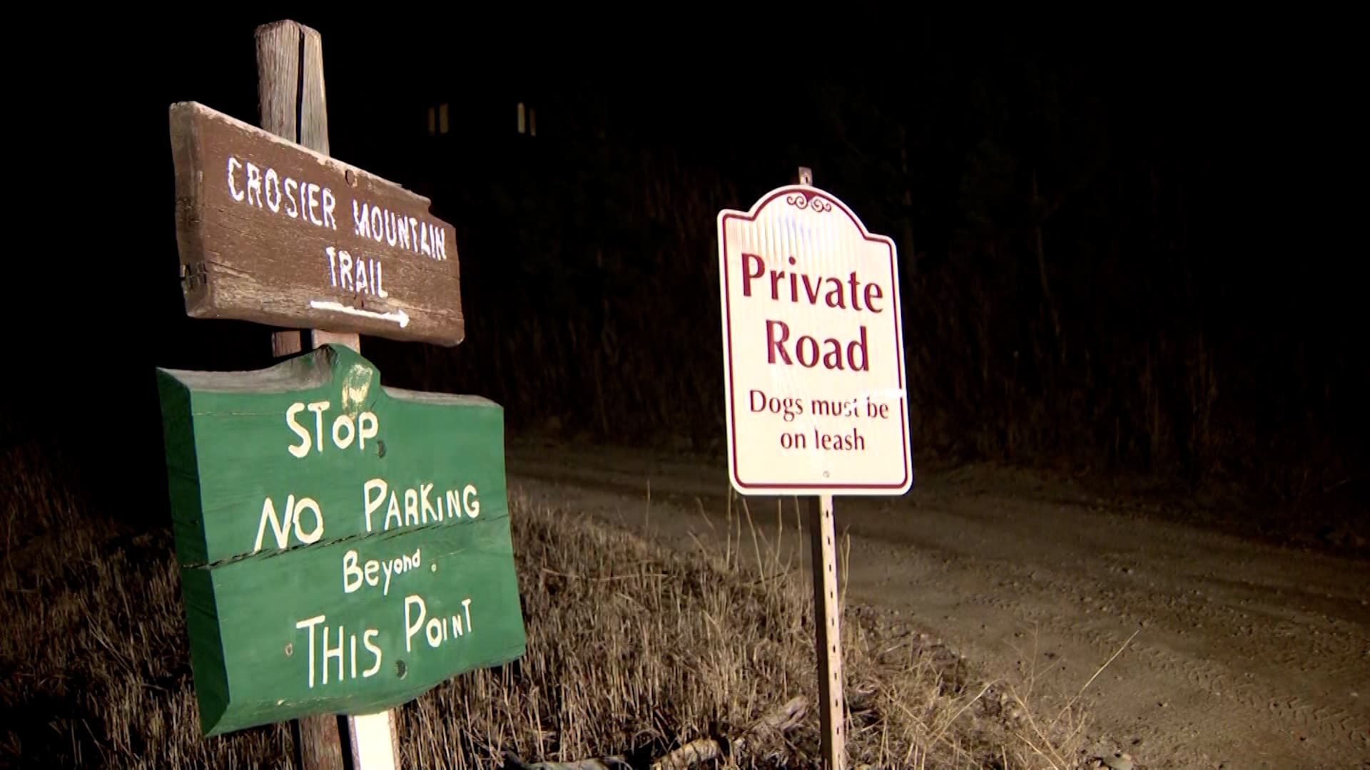 ألقوا عليه الحجارة لإخافته.. متنزهون يتفاجؤون بامرأة مقتولة بجانب أسد جبلي في كولورادو