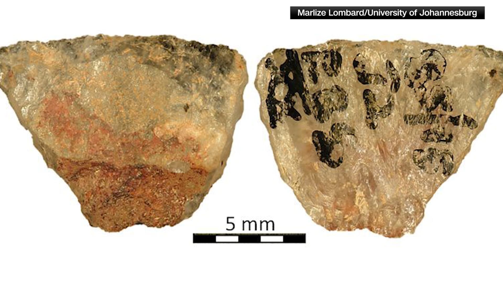 10 رؤوس سهام اكتُشفت قبل 40 عامًا بجنوب إفريقيا.. علماء آثار يحدّدون أخيرًا هدف استخدامها