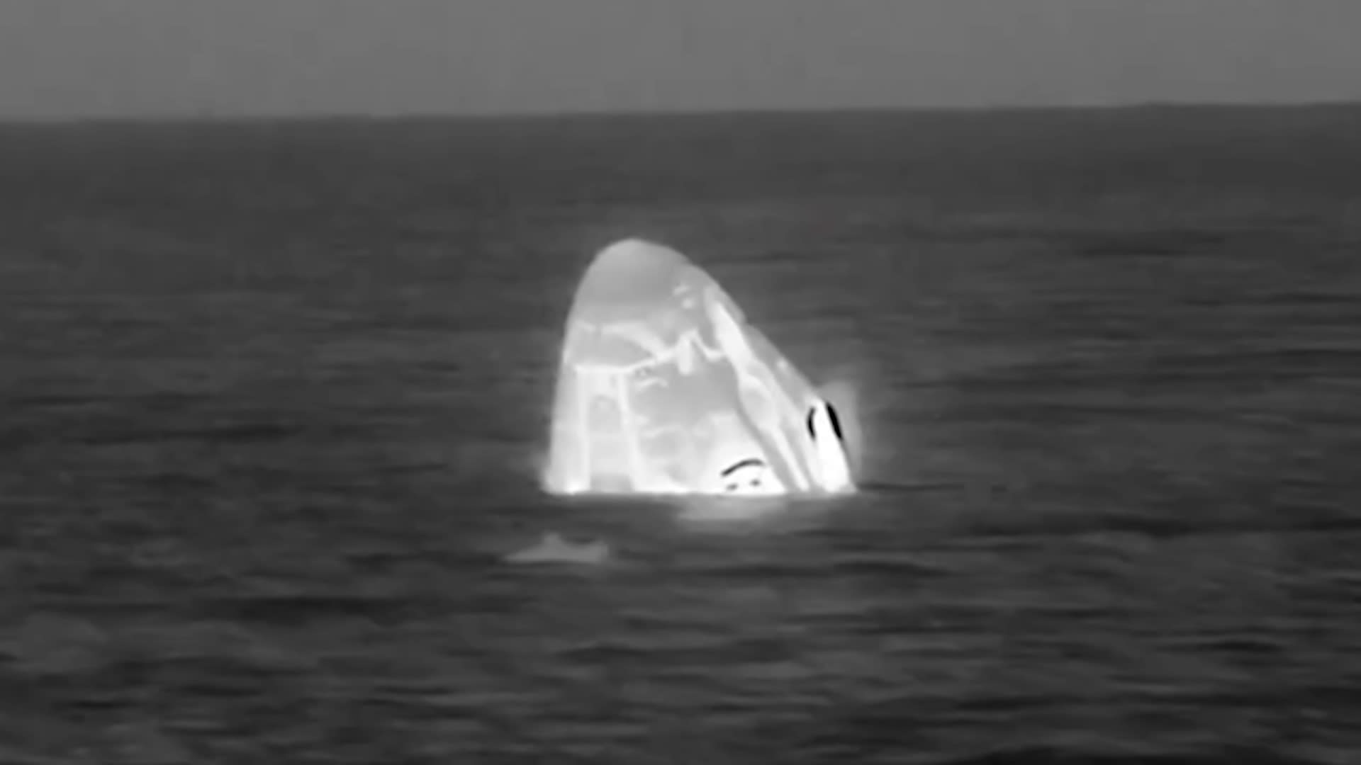 لحظة هبوط كبسولة فضاء تحمل 4 رواد.. فيديو يرصد ما فعلته دلافين بجانبها