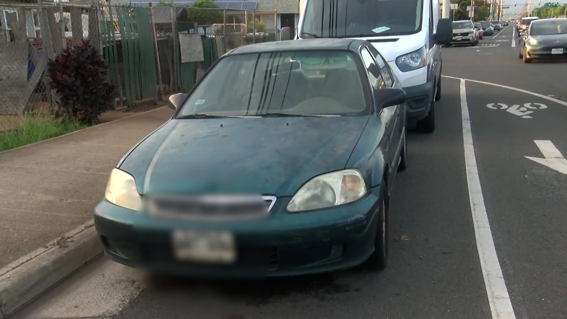 كلاب تهاجم بشراسة رجلًا يسير مع كلبه في شارع بهاواي.. شاهد ما حدث