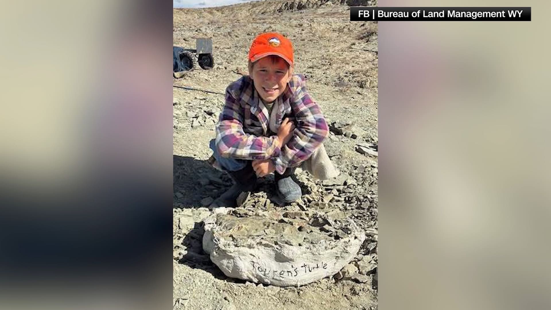 طفل يبلغ من العمر 11 عامًا يكتشف أحفورة سلحفاة تعود لـ48 مليون سنة