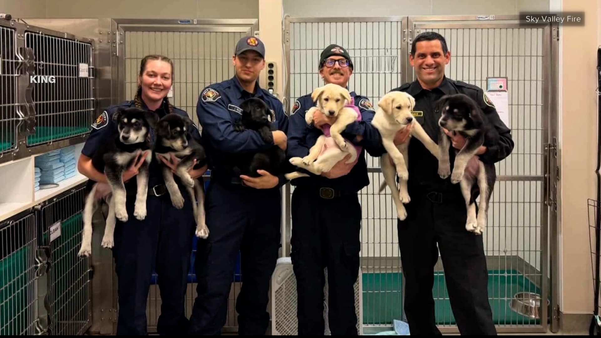 "كانت لا تتحرك".. إنقاذ جِراء فقدت وعيها إثر "جرعة مخدر زائدة"