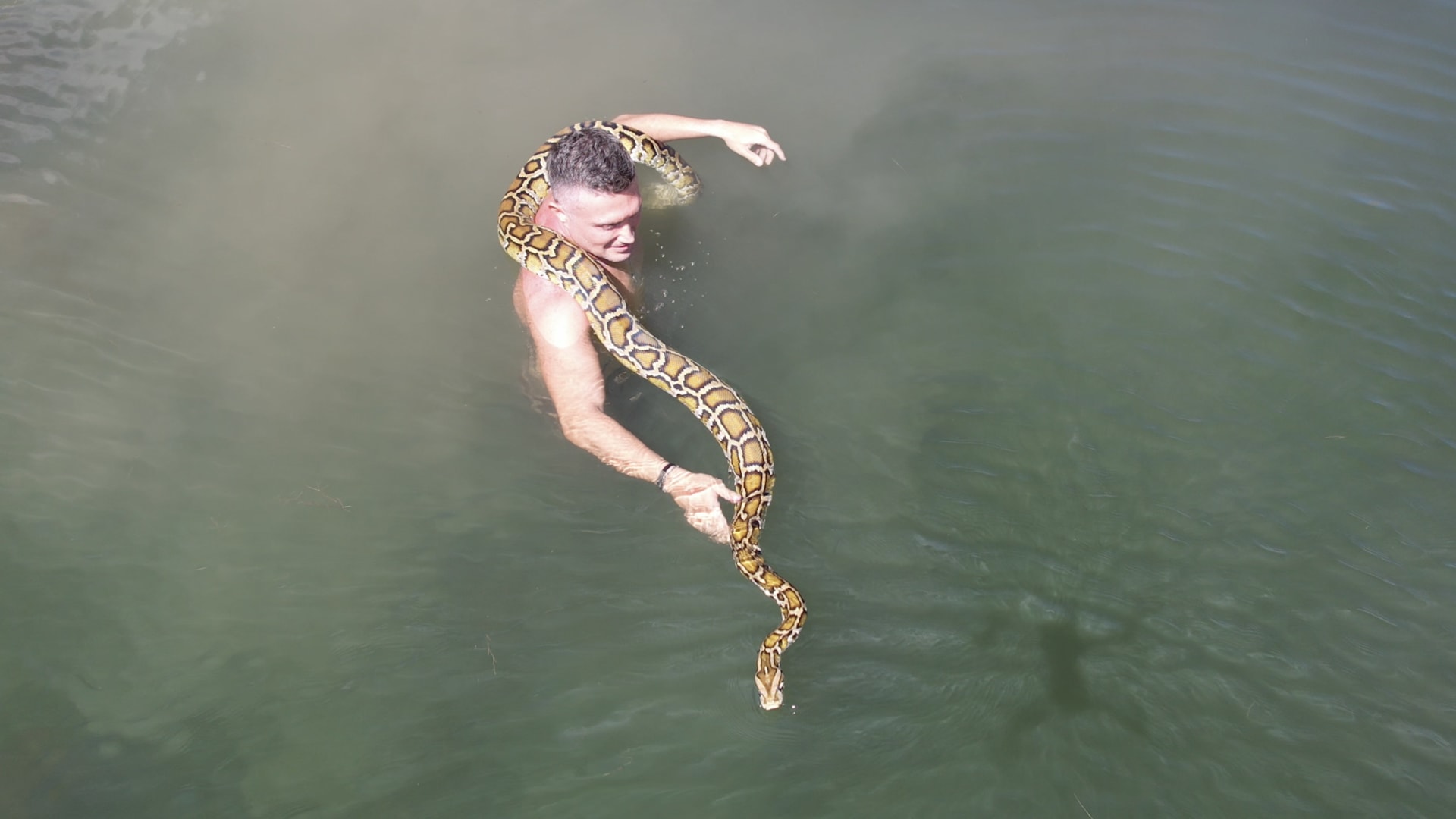 شاهد.. مغامر لبناني يسبح مع واحدة من أكبر الأفاعي في العالم