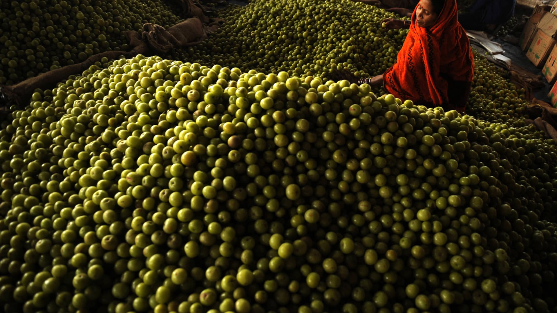 "التوت العجيب".. كيف تساعد هذه الفاكهة في مكافحة السرطان؟