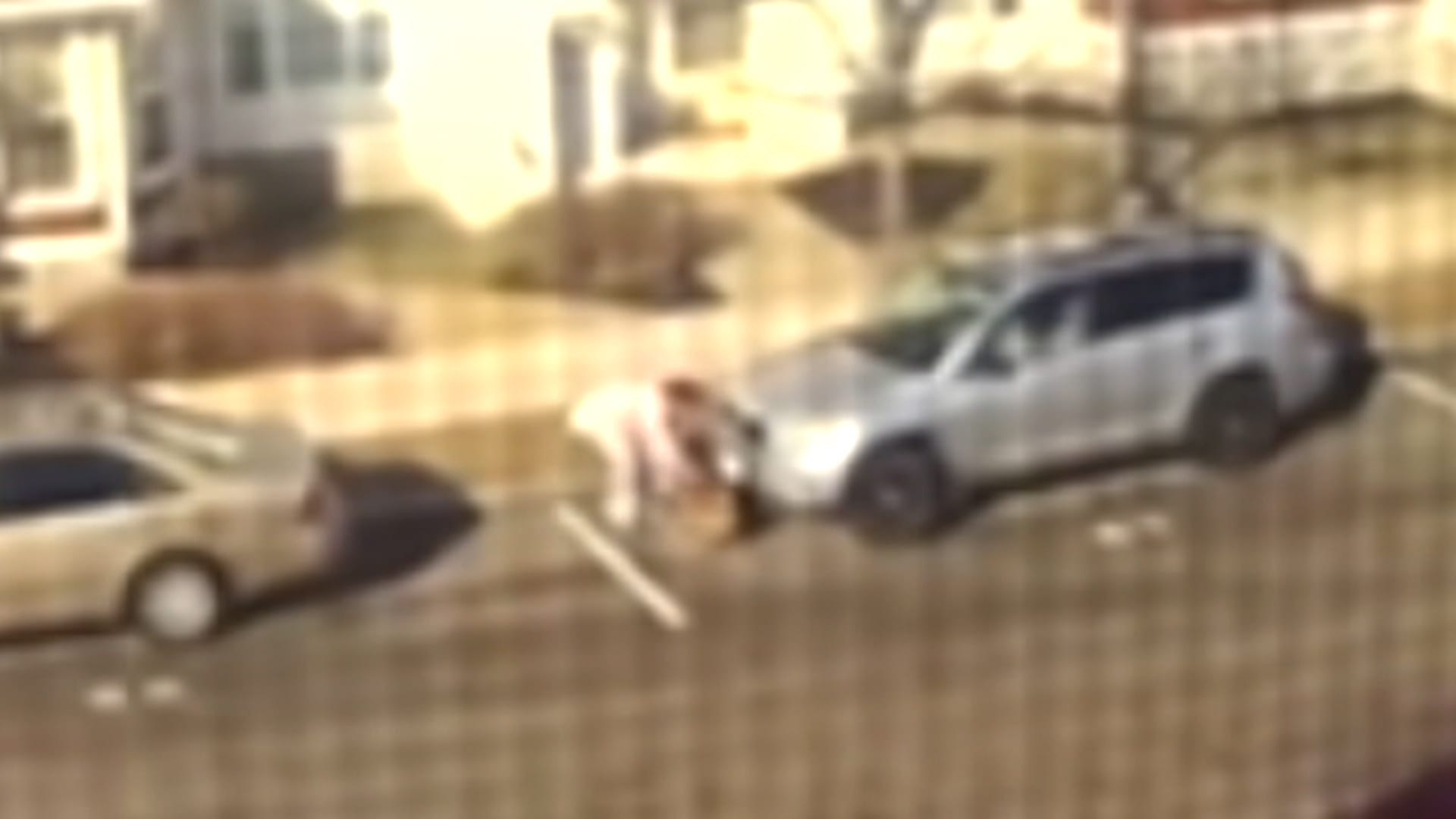 هجوم كلب شرس في دورشستر يخلّف صدمة نفسية وإصابات خطيرة