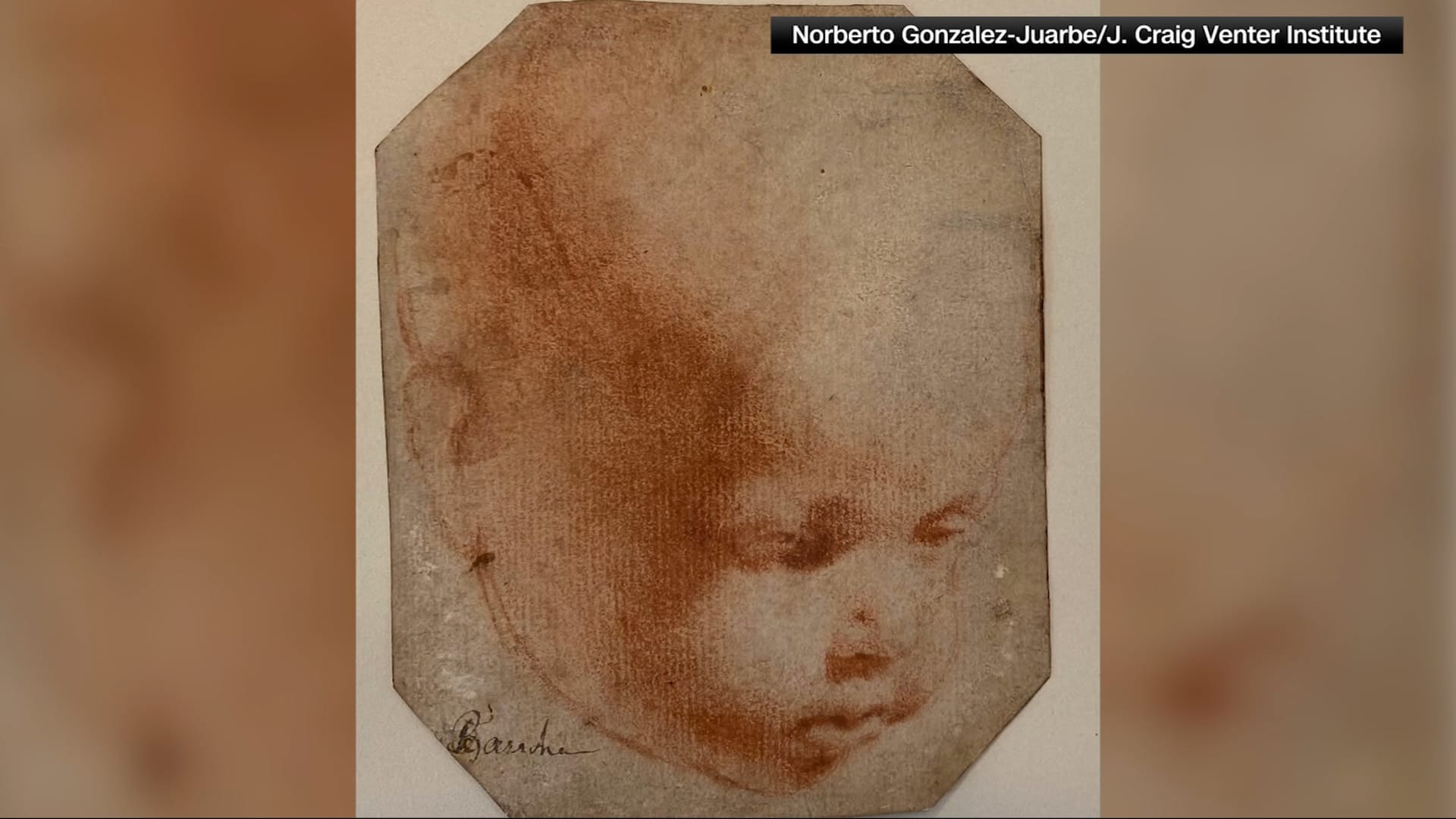 لم يُنجب أطفالًا ودُمّر قبره: هل يعثر العلماء على الحمض النووي لليوناردو دافنشي في أعماله الفنية؟