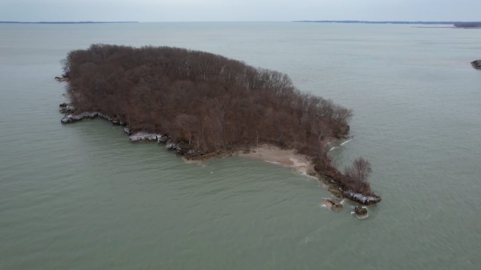 جزيرة الفأر في أوهايو شبيهة بهاواي: فرصة نادرة للشراء بـ5 ملايين دولار