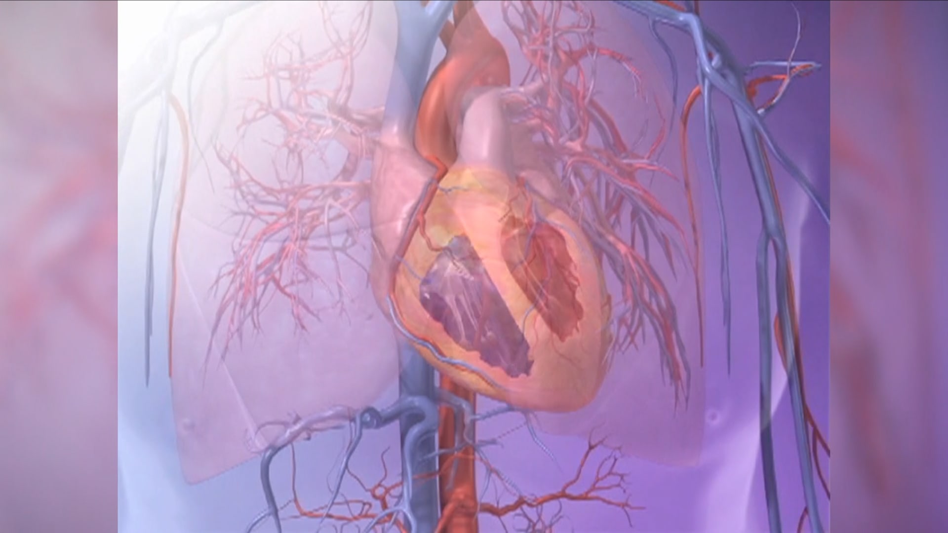 تكلفة الفقر الباهظة.. الضغوط المالية تؤثر على صحة قلبك وشبابه