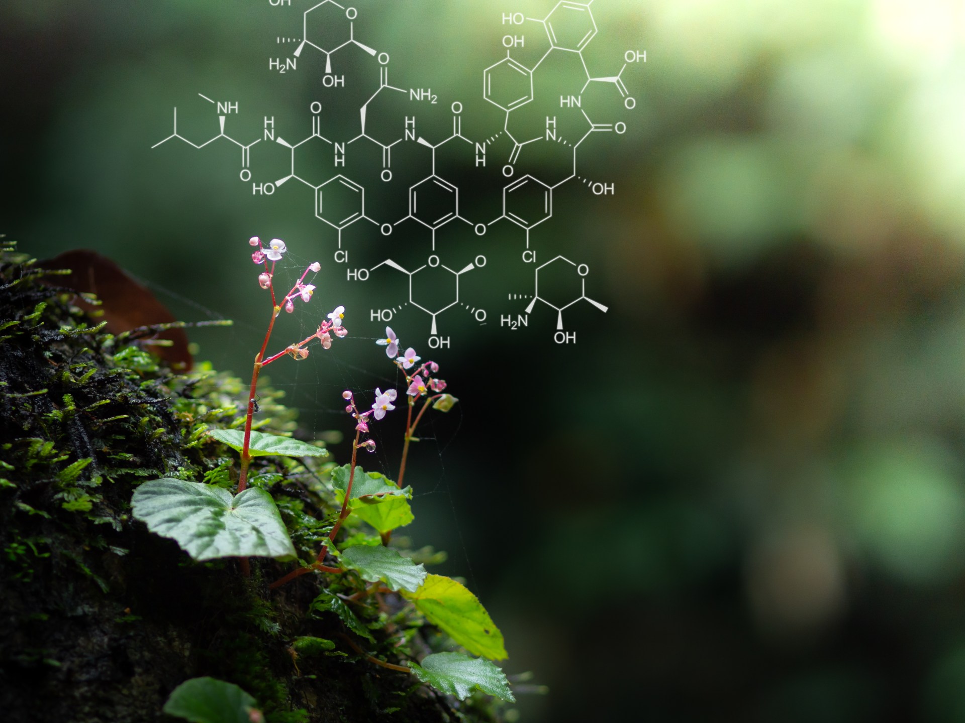 كيف أمسك العلماء بـ"يد الجزيء" الصحيحة بعد 80 عاما من الحيرة؟