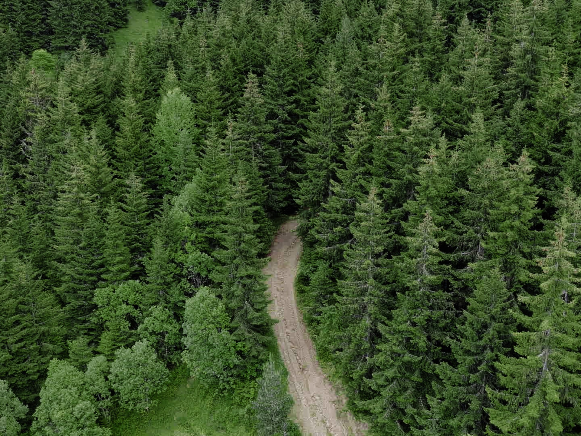 علماء ينقلون إلى البشرية درسا عمره 56 مليون سنة