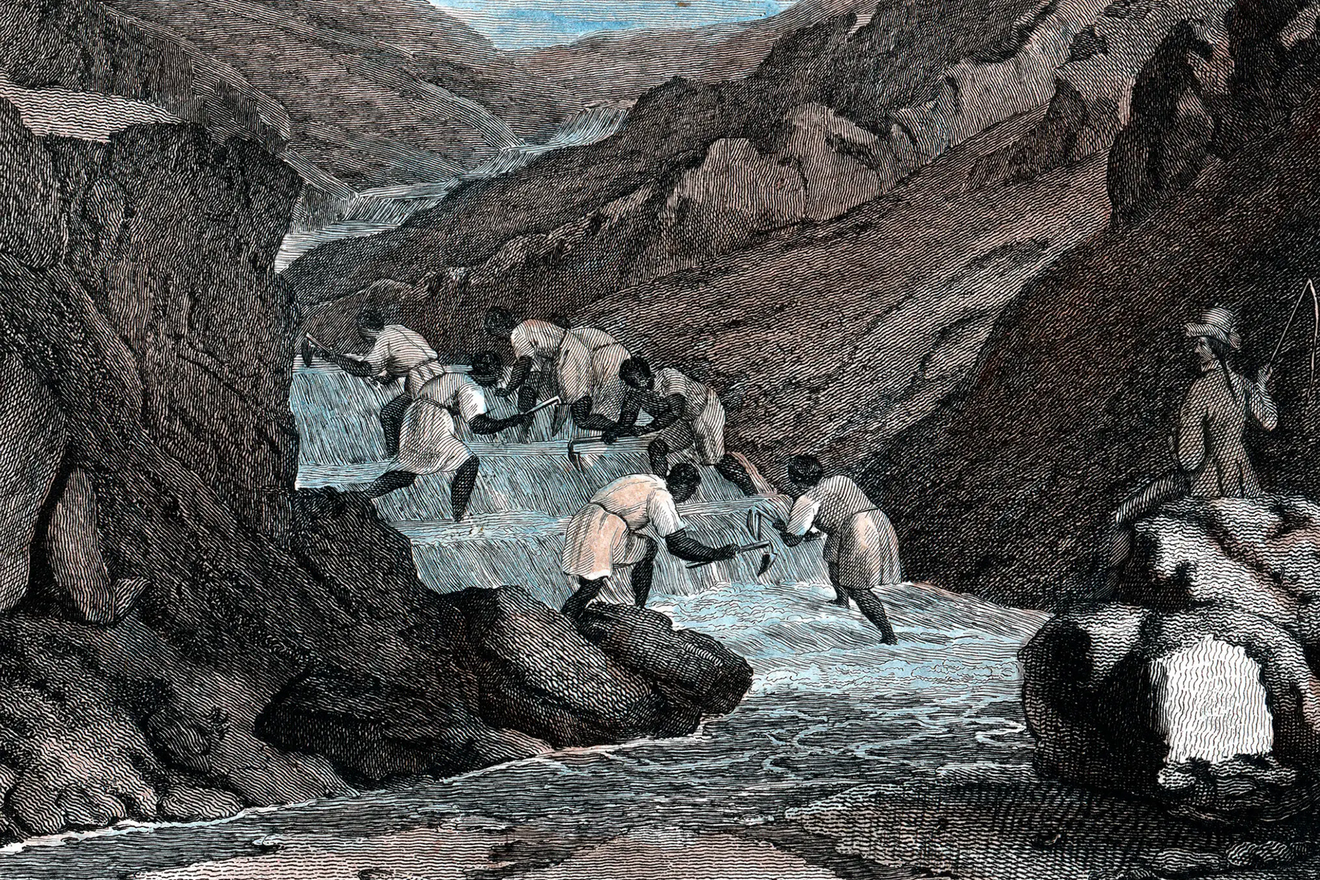 مؤرخة أمريكية: التاج البريطاني أكبر مشتر للعبيد في العالم عام 1807