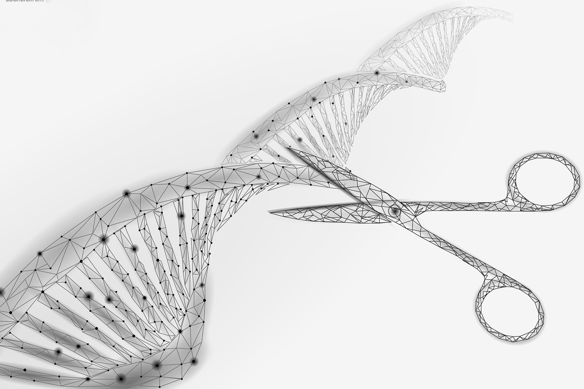 "الطمطاطو": هل يستمر العلماء في العبث بجينات النباتات؟