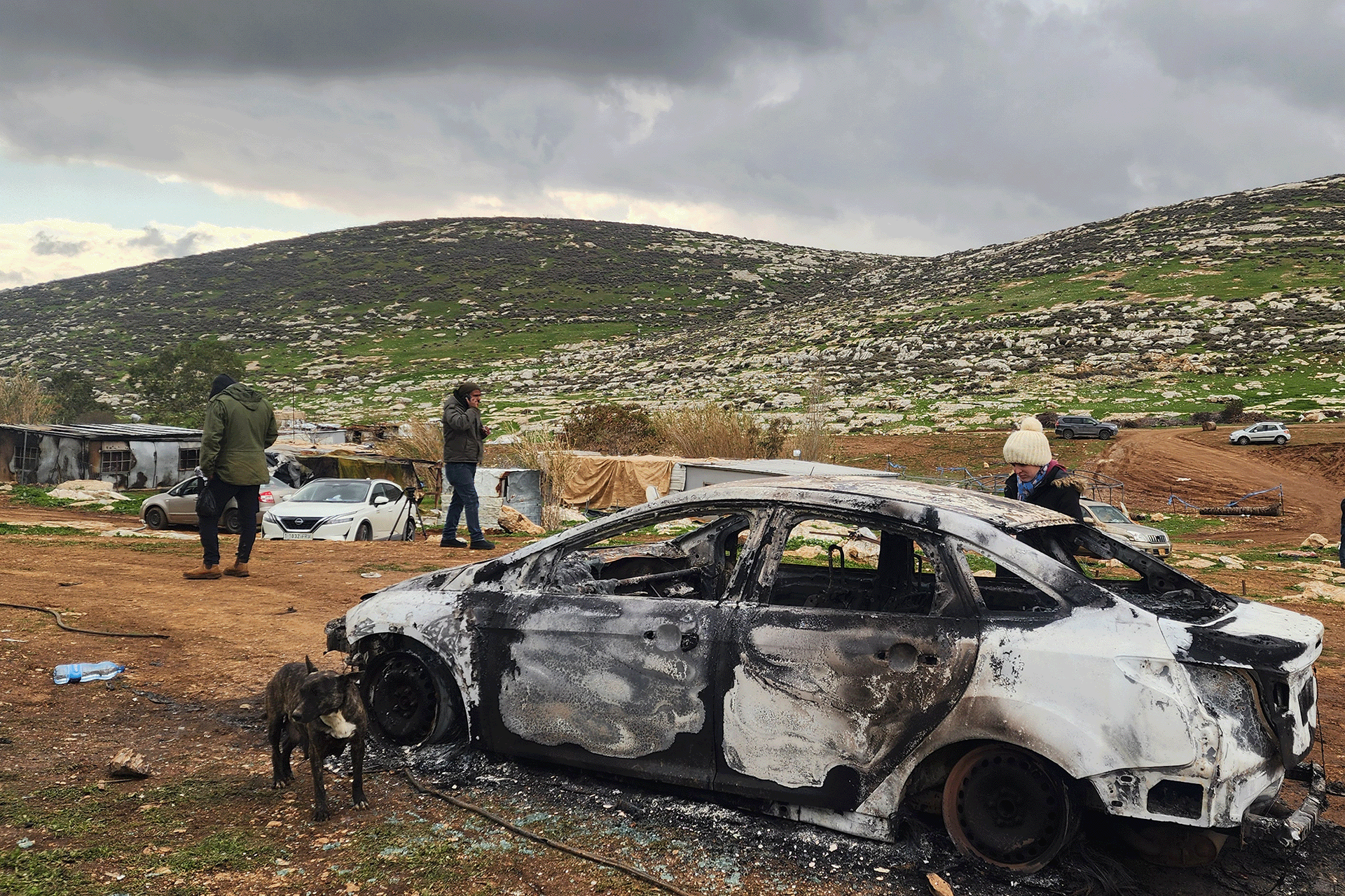 خلة السدرة الفلسطينية.. اعتداءات المستوطنين تزداد عنفا وضررا