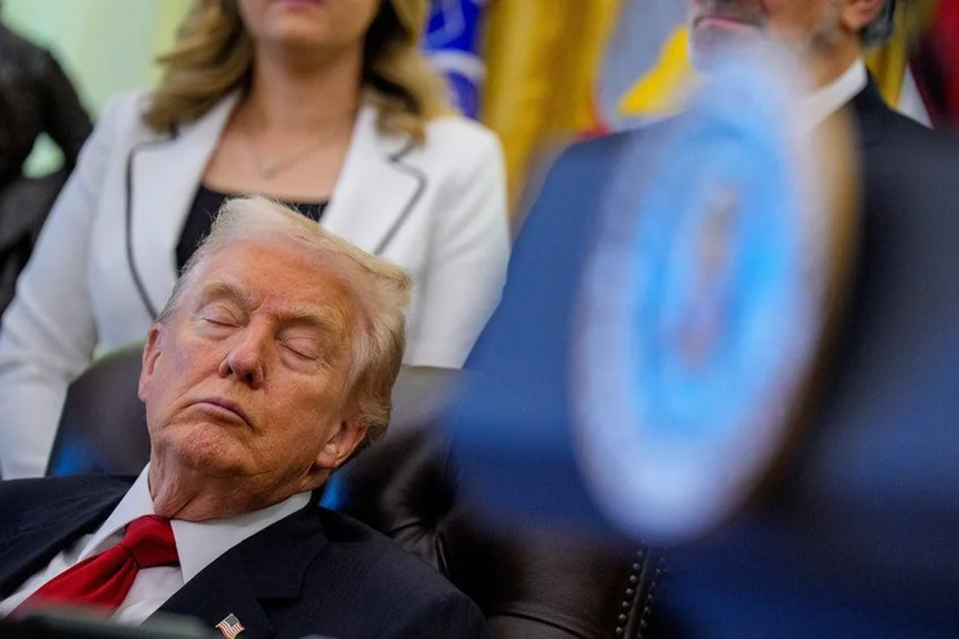 TRUMP BRUISES 2 1767305139