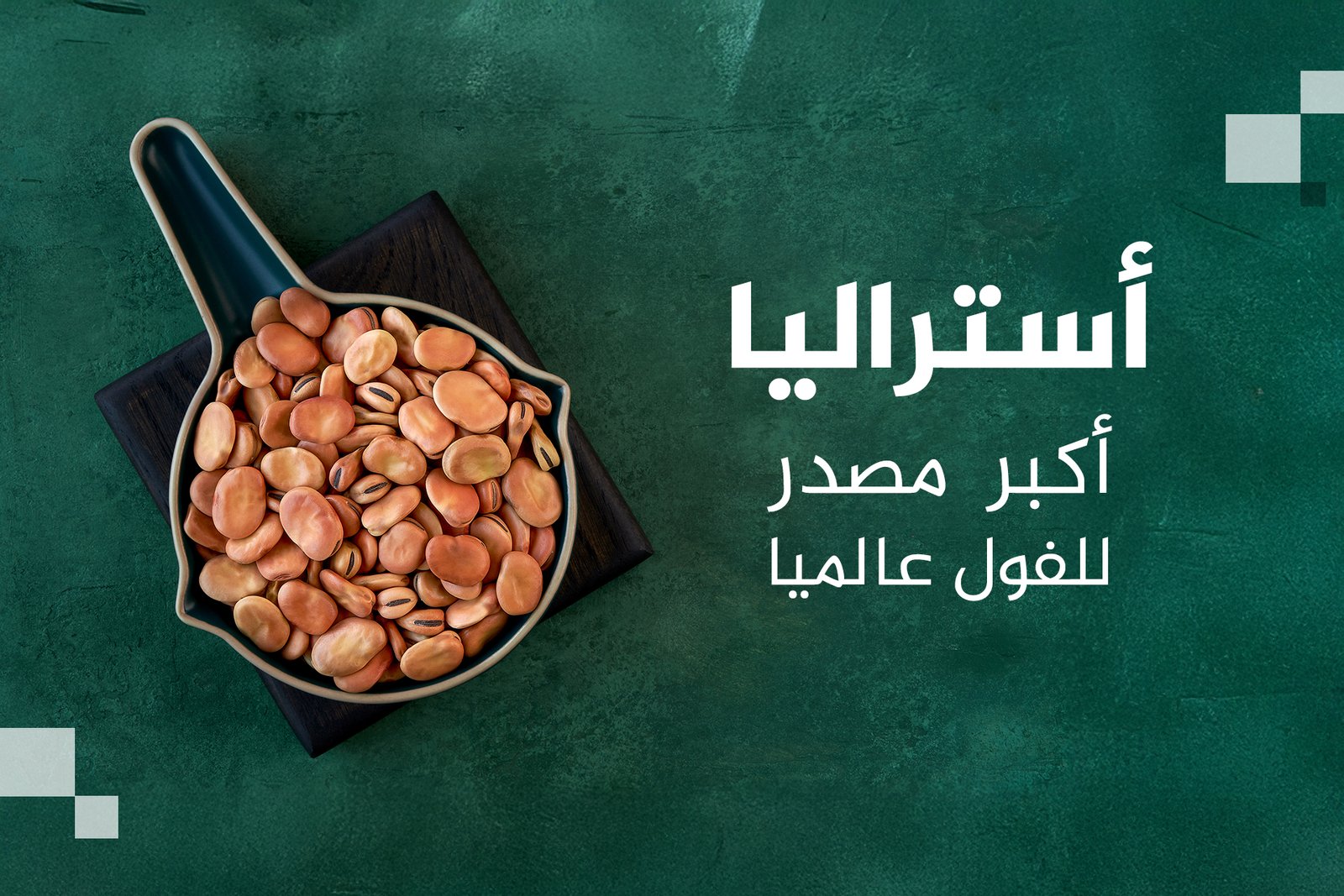 أكبر 10 دول منتجة ومصدرة للفول بالعالم.. بينها دولة عربية 1 auss 3 1768665543