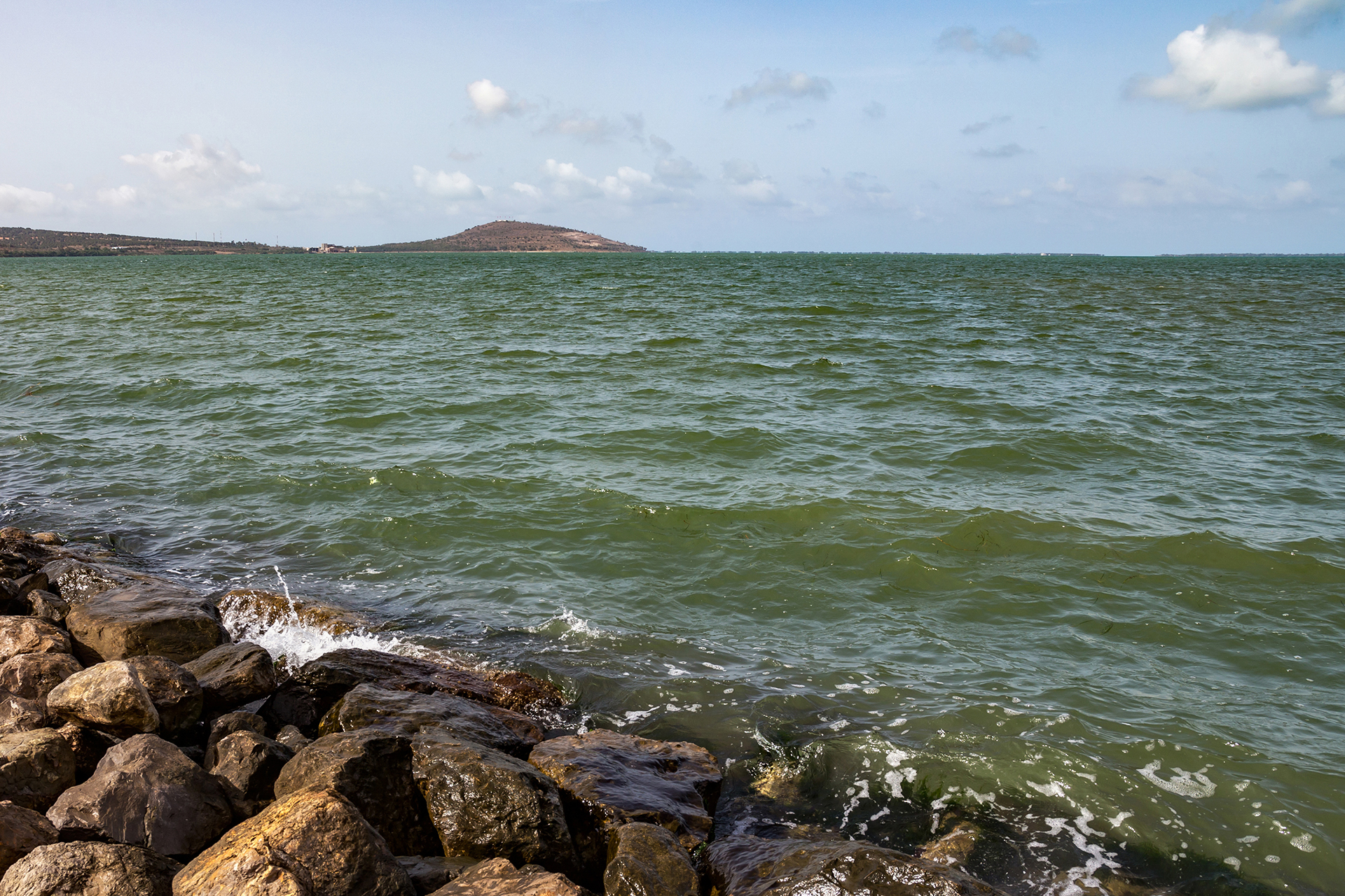 مبيدات حشرية تعود من الماضي إلى بحيرة "مارتشيكا" المغربية