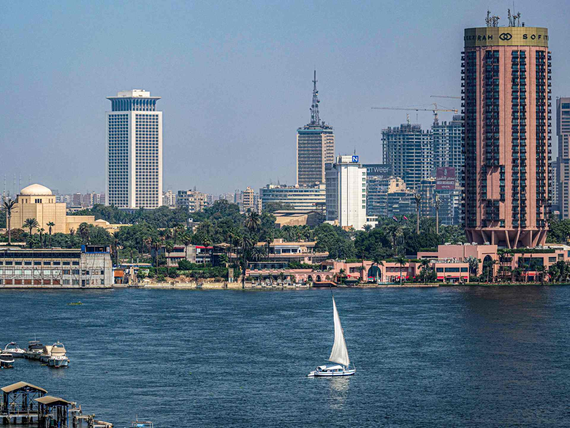 "إن غاب القط".. عندما تقتحم أفلام السرقة شوارع القاهرة