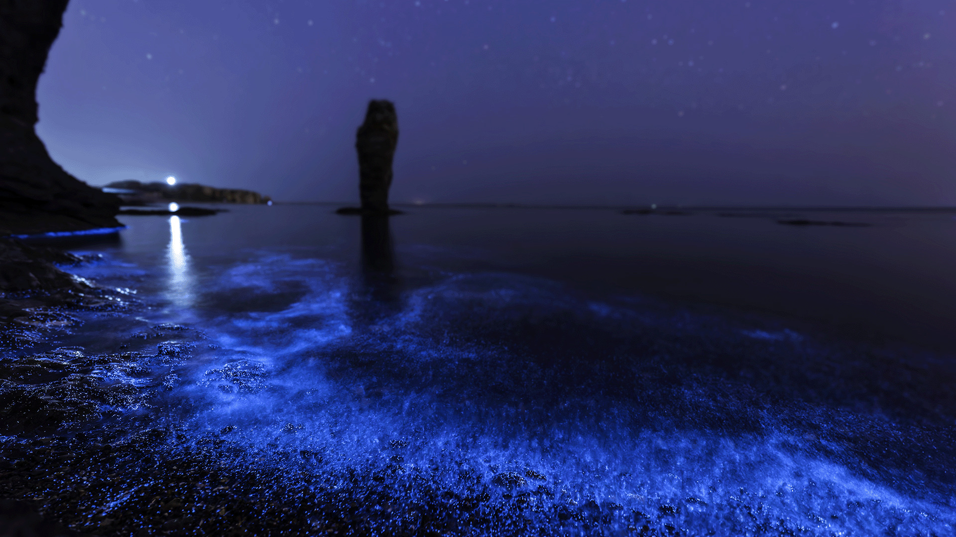 "الدموع الزرقاء" على السواحل العمانية تبهر المنصات