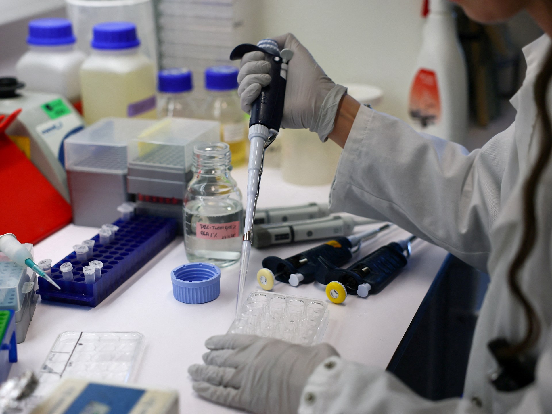 إنفلونزا الطيور تعاود الظهور في إسرائيل والهند