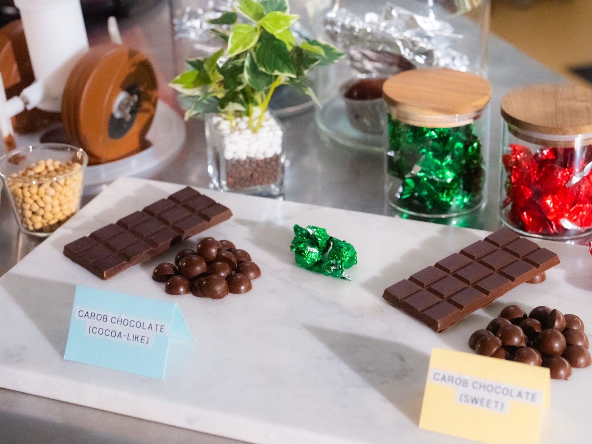 العلماء بدؤوا تجهيز "بدائل الشوكولاتة" تحسبًا لانقراضها