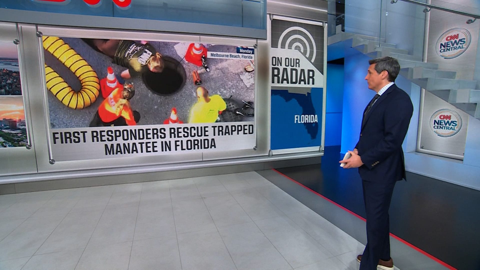 شاهد.. إنقاذ خروف بحر عالق داخل بالوعة برافعة في فلوريدا