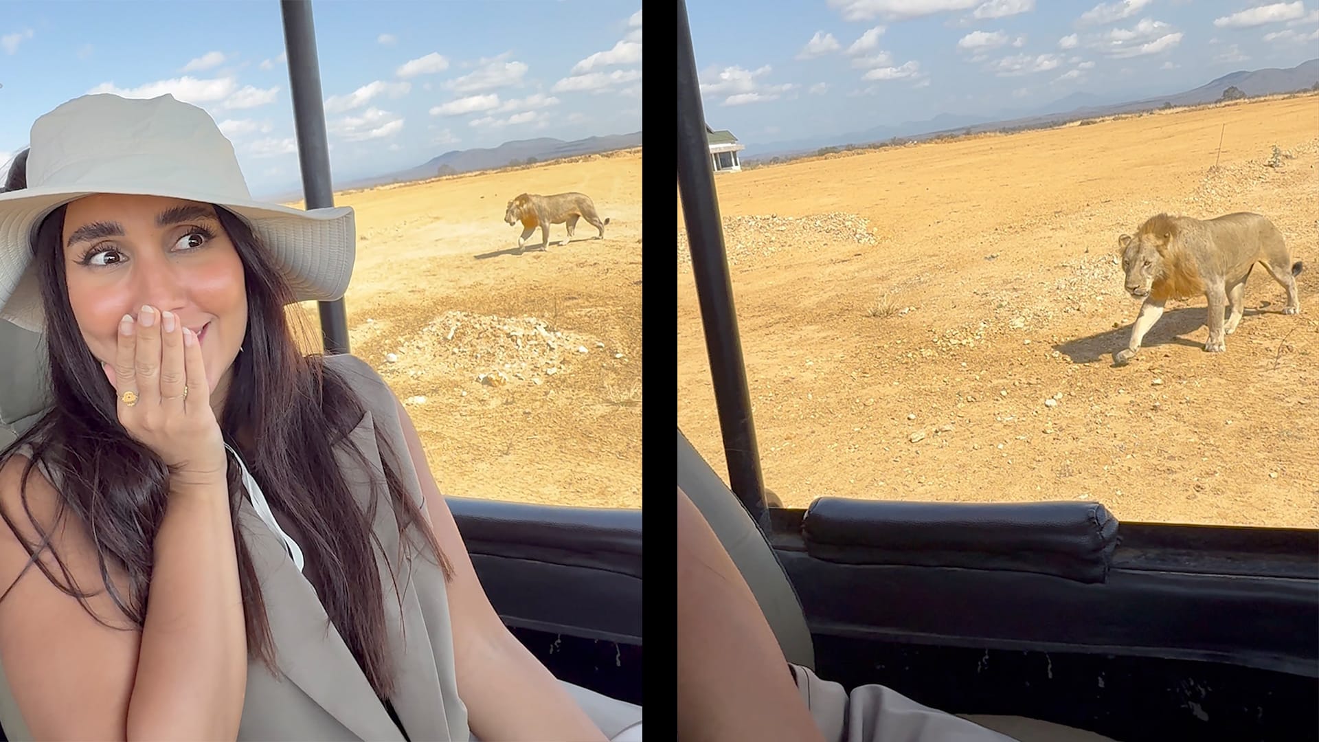 الصوت ممنوع.. شاهد أسد يقترب من سيارة سفاري في قلب الطبيعة بإفريقيا