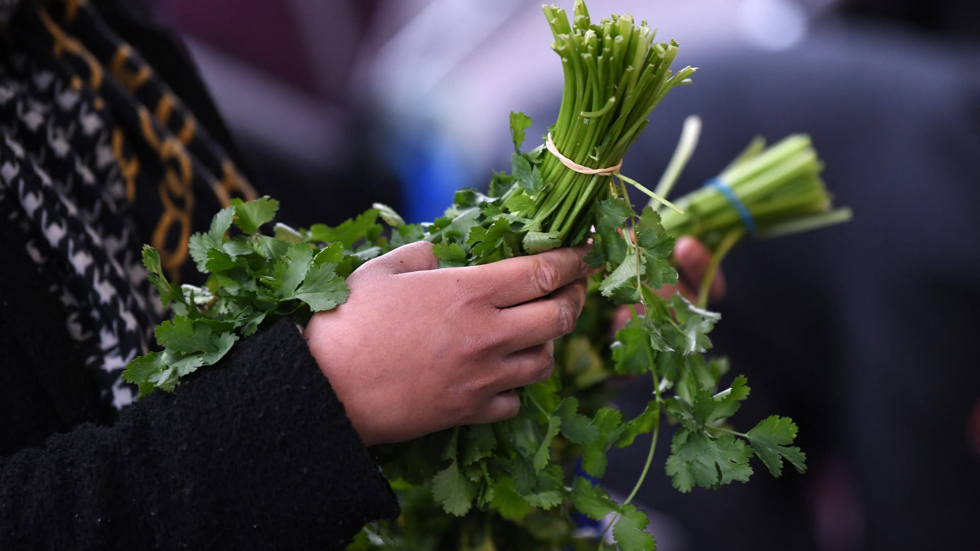 من بينها الزعتر والكزبرة.. لماذا قد تُنقذ هذه الأعشاب حياتك؟