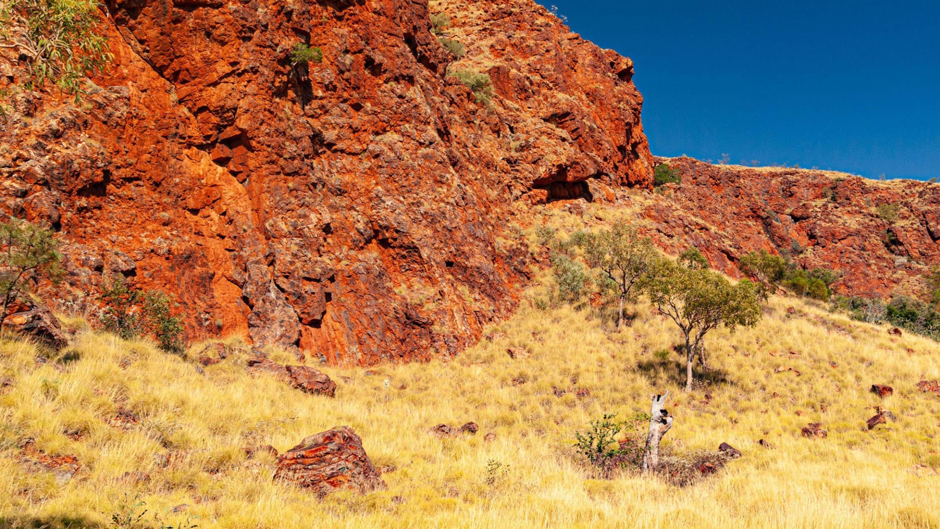 تكتونية الصفائح.. لغز قديم يكشف العلماء بداياته على الأرض