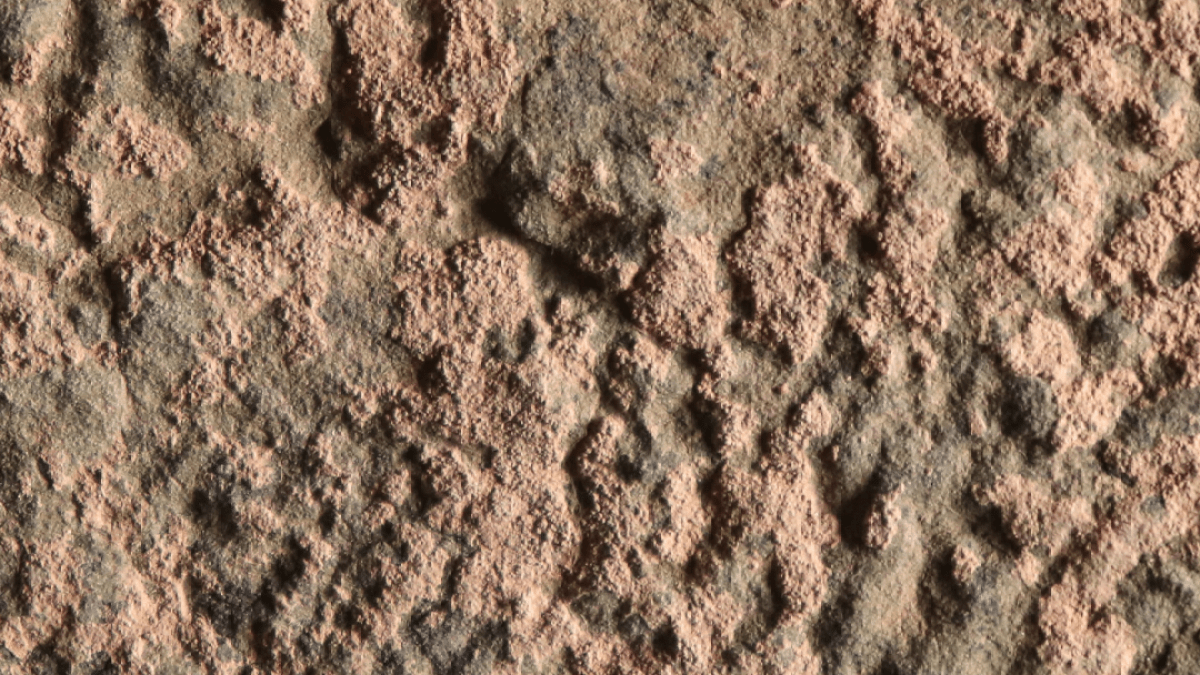 في المغرب.. اكتشاف صور للحياة عمرها 180 مليون سنة