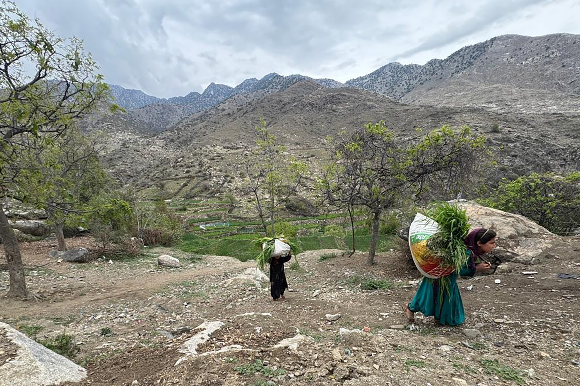 الموت بنيران الأشقاء.. جولة ميدانية في القرى الأفغانية المحاذية لباكستان