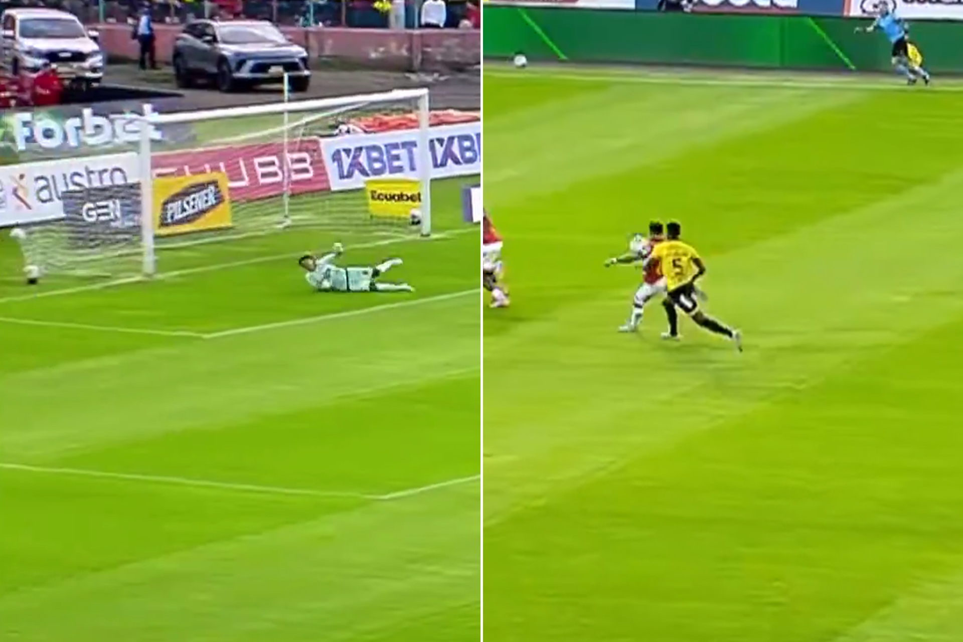 استلام مثالي وقذيفة لا تصد.. شاهد هدفا في الإكوادور يغازل جائزة بوشكاش 2026