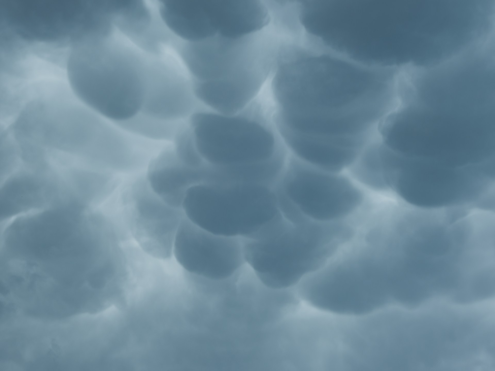 سحب "الماماتوس" تظهر في سماء قطر.. ما دلالة ظهورها؟