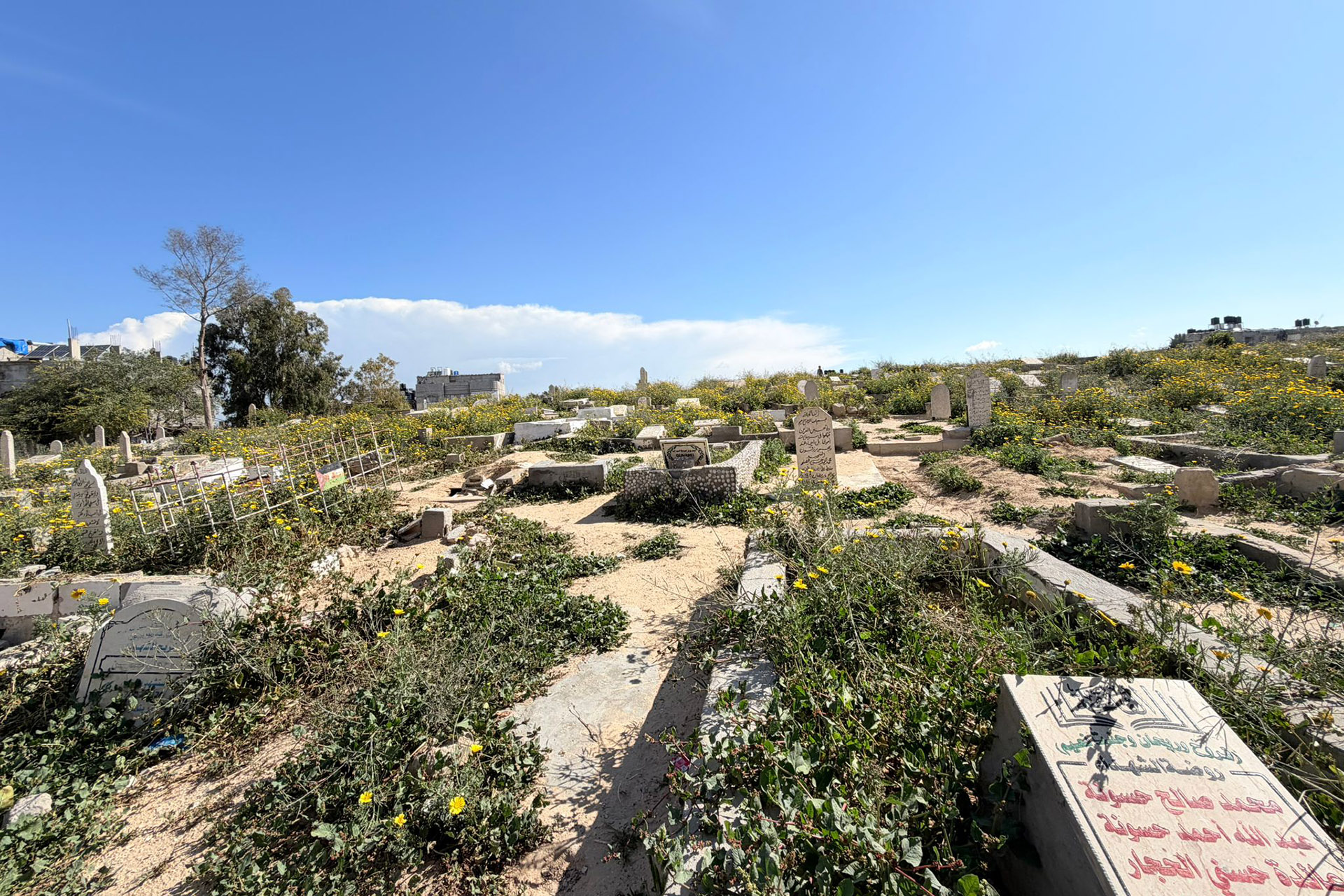 إبادة ما بعد الموت.. ماذا وراء الطمس الممنهج للمقابر في غزة؟