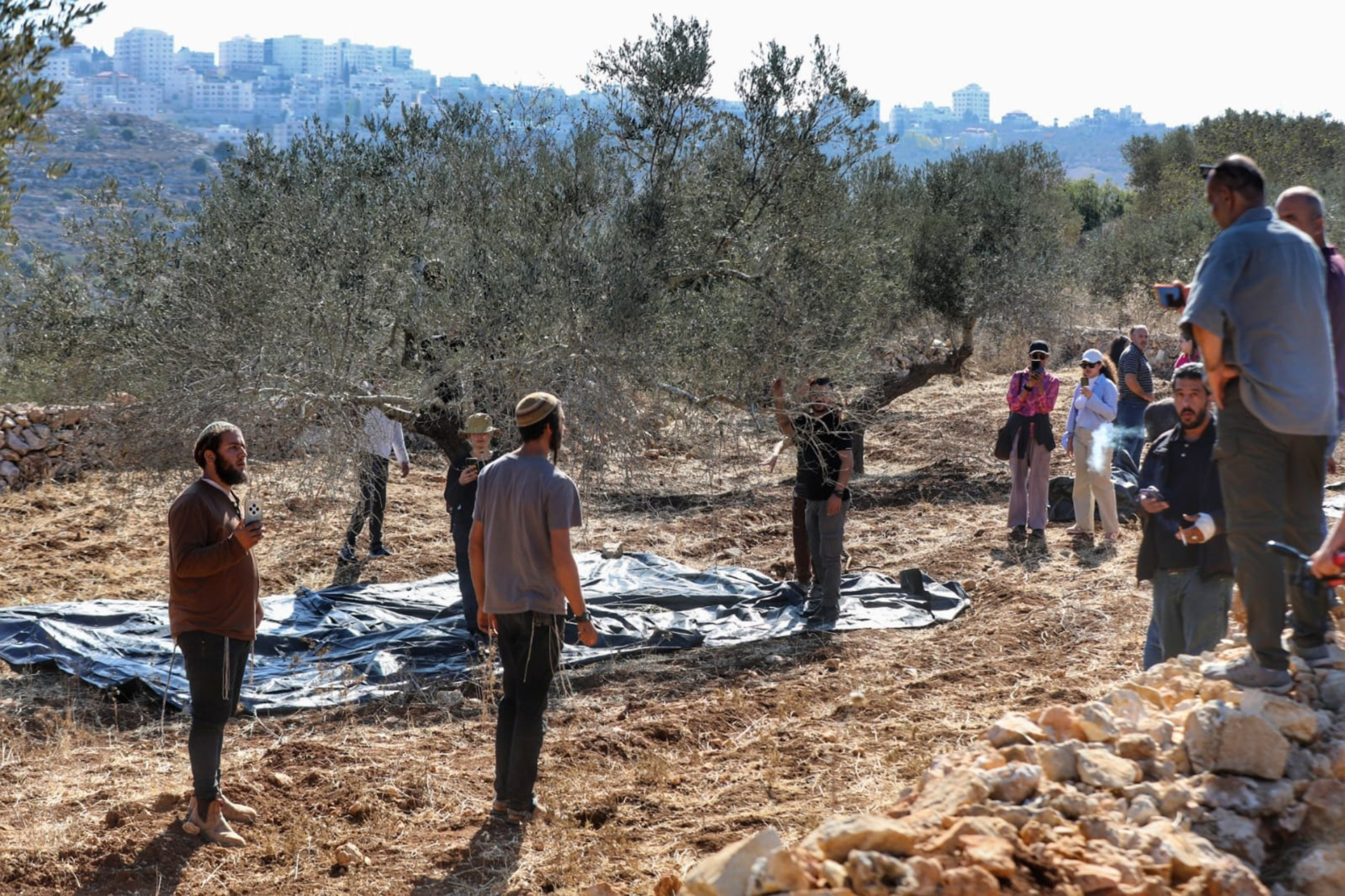 المستوطنون سرقوا  12 ألف رأس من مواشي الفلسطينيين