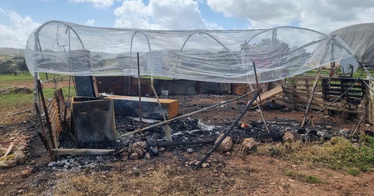 يستهدفها جيش الاحتلال بزي مدني وعسكري.. "تياسير" الفلسطينية تكتب قصة صمودها بالدم