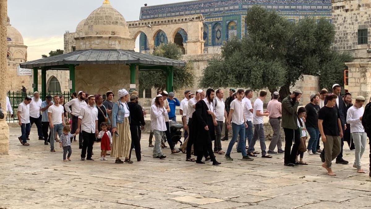تحذيرات من "أقسى الشهور" على الأقصى في مايو القادم